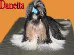 Chovatelska stanice ps�: DANETTA GODDESS