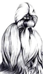 Chovatelska stanice ps�: MIRIMBO