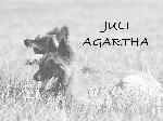 Chovatelska stanice ps�: JULI AGARTHA