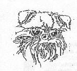 Chovatelska stanice ps�: ZLAT� NYMFA FCI