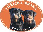 Chovatelska stanice ps�: LU�ICK� BR�NA