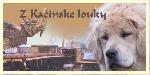 Chovatelska stanice ps�: Z KA�INSK� LOUKY