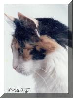 Chovatelska stanice ps�: ROSA GLAUCA, CZ