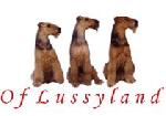 Chovatelska stanice ps�: AIREDALES OF LUSSYLAND