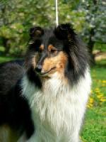 Chovatelska stanice ps�: SILIVREN