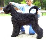 Chovatelska stanice ps�: MARPAVY