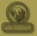 Chovatelska stanice ps�: TET�EV� DV�R