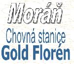 Chovatelska stanice ps�: GOLD FLOR�N