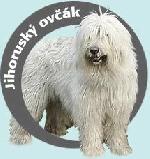 Chovatelska stanice ps�: OD STAR� FEHY