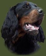 Chovatelska stanice ps�: �RES �AMARKAN FCI