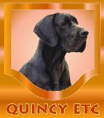 Chovatelska stanice ps�: QUINCY ETC