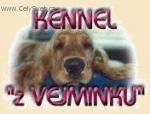 Chovatelska stanice ps�: Z VEJMINKU