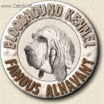 Chovatelska stanice ps�: FAMOUS ALHAVANT