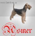 Chovatelska stanice ps�: ASMER