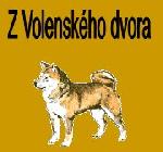 Chovatelska stanice ps�: Z VOLENSK�HO DVORA