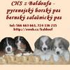 Chovatelska stanice ps�: Z BALDOUFA