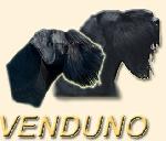 Chovatelska stanice ps�: VENDUNO