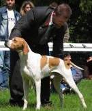 Chovatelska stanice ps�: Z ME�INSK� H�JOVNY